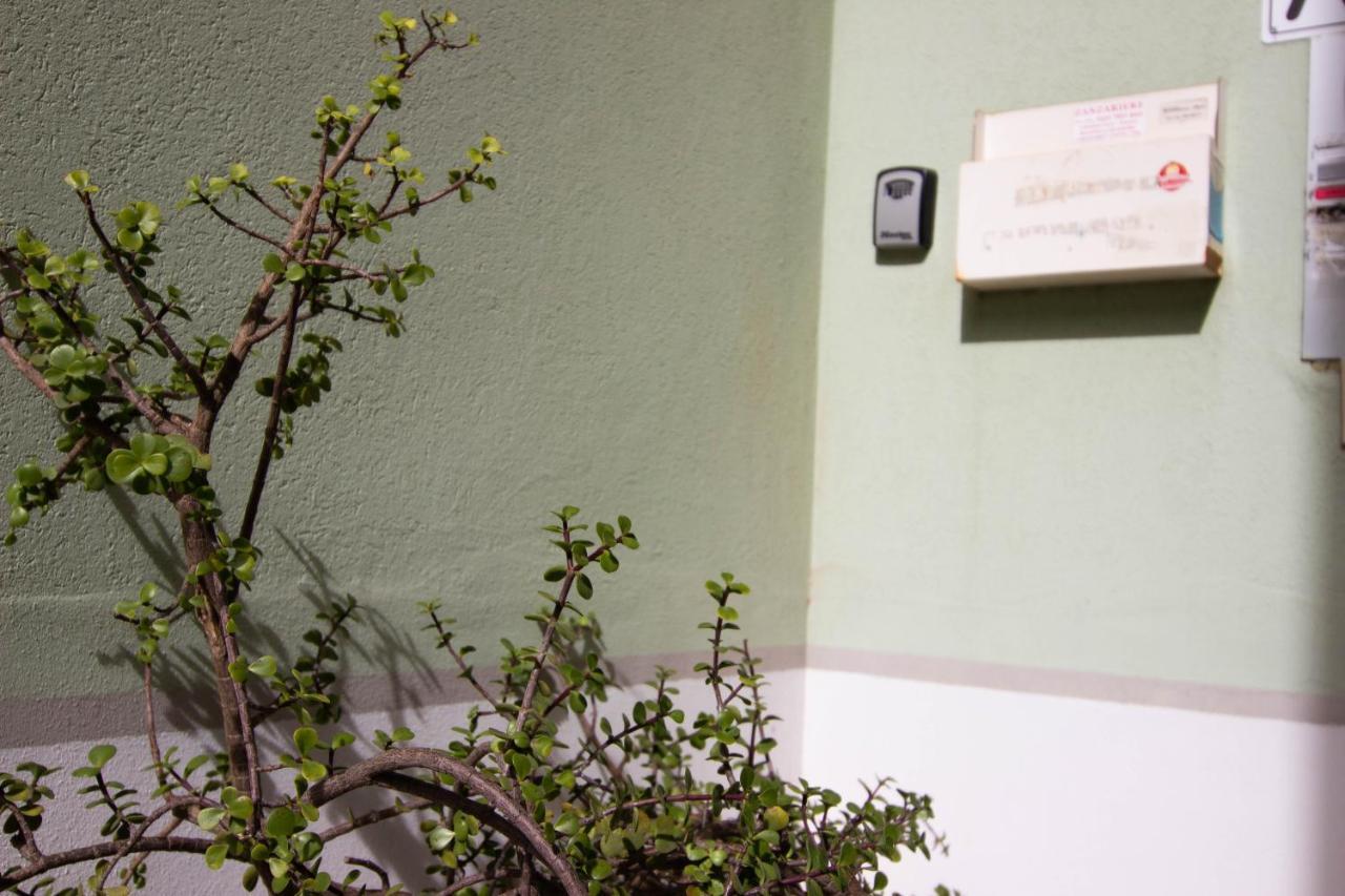 פיזה 1Km Dalla Torre Appart. Con Balcone E Posto Auto מראה חיצוני תמונה